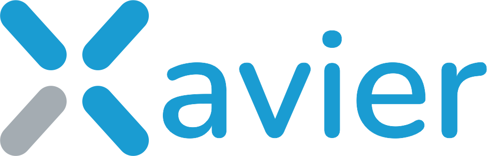 XAVIER projektové finance a controlling